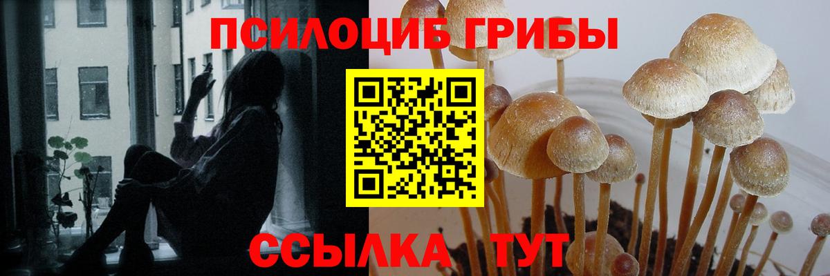 Псилоцибиновые грибы MAGIC MUSHROOMS  Псилоцибиновые грибы Psilocybe  Когалым  Вход с VPN 